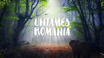 Watch Untamed Romania Online | 2019 Movie | Yidio