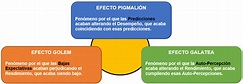 Efecto Pigmalión, Golem y Galatea explicados con Ejemplos.