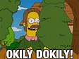 Okely Dokely Ned Flanders GIFs | Tenor