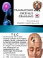 TRAUMATISMO ENCÉFALO CRANEANO (2003) | Lesión cerebral traumática ...