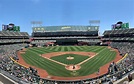 Oakland Athletics - Stadium Dude