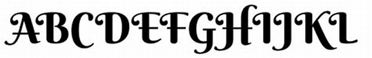 Berkshire Pro Swash Font - What Font Is