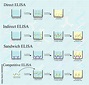 4 Type of ELISA infographic concept show protocol testing in laboratory ...