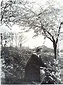 Lotte Hattemer, printemps 1904 (With images) | Mystique, Mystic, Landscape