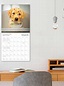 Amazon.com: Dogma 2024 Wall Calendar: A Dog’s Guide to Life by Ron ...