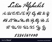 Latin alphabet classical calligraphy and lettering
