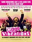 Ver Good Vibrations (2012) online