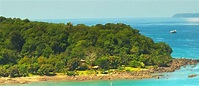 3 Top Reasons to Visit Drake Bay: | The Costa Rica News