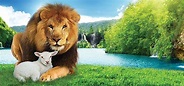 The Lion and the Lamb: Beautiful Word Pictures of Paradise | Inside ...