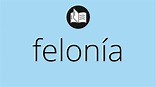 Que significa FELONÍA • felonía SIGNIFICADO • felonía DEFINICIÓN • Que ...