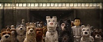 ‘Isle of Dogs’ Fully Deserving of Puppy Snaps | Arts | The Harvard Crimson