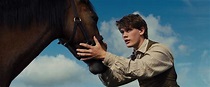 War Horse | War horse, War horse movie, Horse movies