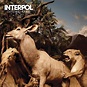 Interpol - Pioneer to the Falls Lyrics | Album cover art, Album art ...