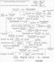 Image result for Earl of Pembroke Family Tree | Wars of the roses ...