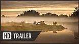 Holland, Natuur in de Delta - Officiële Trailer 2015 - YouTube