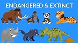 Endangered and Extinct Animals | Video for Kids | Rare Extinct Animals ...