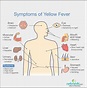 Yellow Fever: Causes, Symptoms, And Treatment | Netmeds