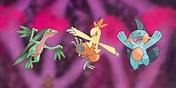 Pokemon Sword and Shield How To Get Treecko Torchic and Mudkip ...