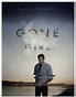 Passion for Movies: Gone Girl -- A Meticulous Thriller that Blends the ...