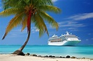 Crucero al caribe con palmera en coral beach | Foto Premium