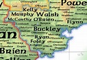 Geo-Genealogy of Irish surnames