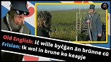The Frisian Perspective on "Talking to a Frisian farmer in Friesland ...