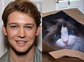 Joe Alwyn confirmed he's quarantined with Taylor Swift by sharing ...