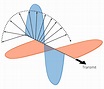 Antenna Polarization Basics | Mimosa