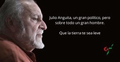 Um Draiga: Julio Anguita, un gran político, pero sobre todo un gran ...