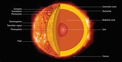 ESA - Anatomy of our Sun