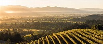 ᐉ 5 razones para visitar el Valle de Napa en California