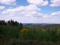 Rundwanderweg in Sundern-Stemel • Wanderung » outdooractive.com