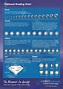 Diamond Grading Chart 2 - download Diamond Chart for free PDF or Word