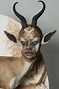 Juxtapoz Magazine - Kate Clark Synthesizes human faces with Taxidermied ...