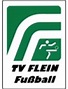 TV Flein - Club profile | Transfermarkt