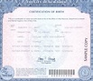 The Perversion of American Birth Certificates | HuffPost