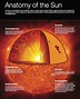 A Hitchhiker's Guide to Space & Plasma Physics - Anatomy Of The Sun