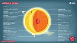 ESA - Anatomy of the Sun