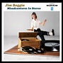 Jim Boggia - Misadventures In Stereo (The Mono Version) | Releases ...