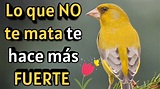 Lo que NO te mata te HACE más FUERTE - YouTube