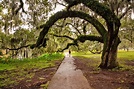City Park in New Orleans - A Family-Friendly Park with Important ...