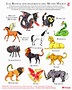 La guía de animales fantásticos del mundo de Harry Potter – Español