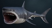 3D realistic great white shark model - TurboSquid 1215328