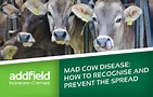 How to prevent Mad Cow Disease - Do you know the dangers of BSE?