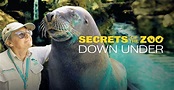 Watch Secrets of the Zoo: Down Under TV Show - Streaming Online | Nat ...