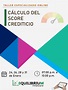 Cálculo Del Score Crediticio - Equilibrium Financiero.. | PDF ...
