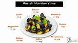Mussels: Everything you need to know about these molluscs and their ...