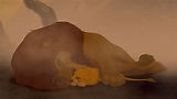 Image - The lion king the death of mufasa.jpg - Degrassi Wiki