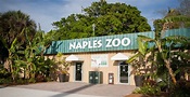 Naples Zoo at Caribbean Gardens | Must Do Visitor Guides