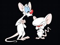 TV Show Pinky And The Brain Wallpaper